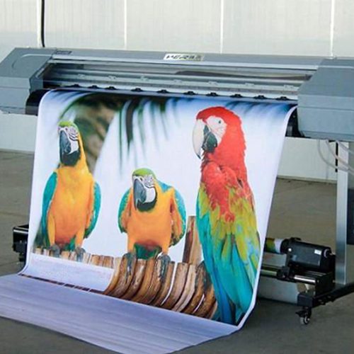 flex printing services in zirakpur panckula